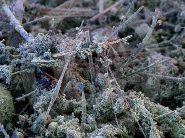 Домашняя пыль под микроскопом.