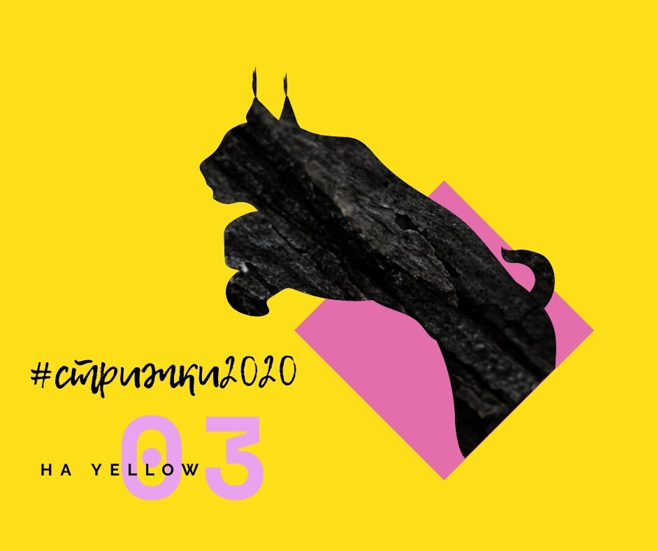 Трендовые короткие стрижки-2020