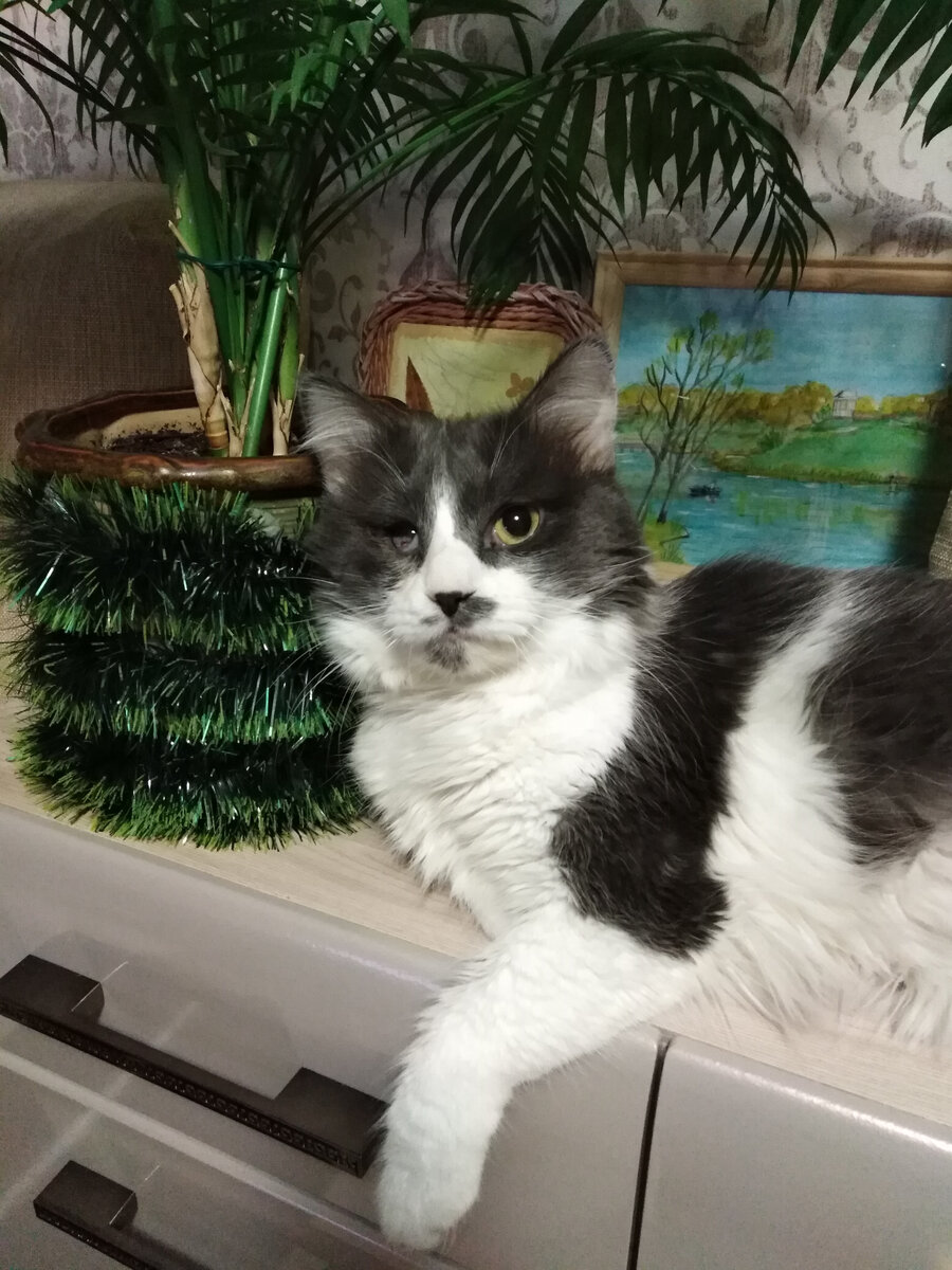 Готовимся к Новому году