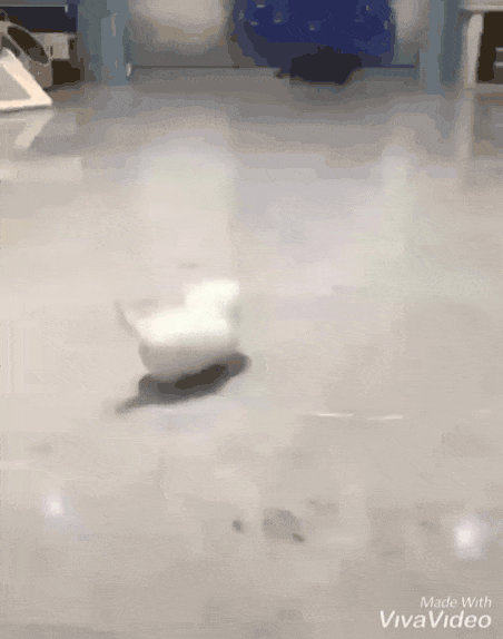 Я всех ПОБЕДЮ!