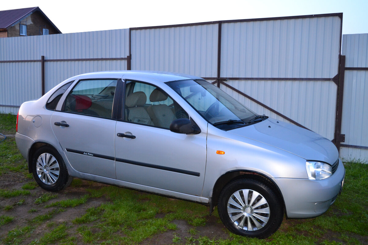 Калина первая. 