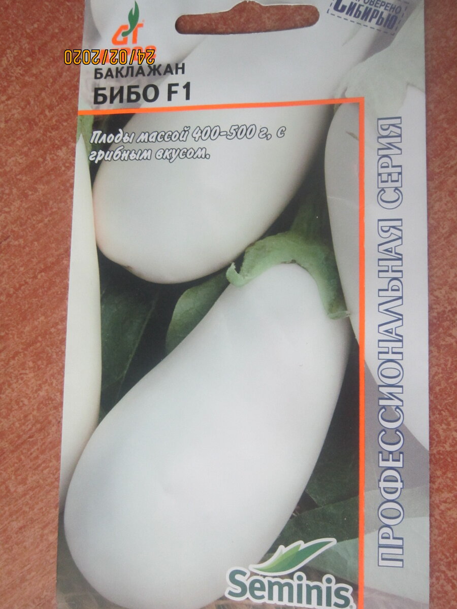Бибо