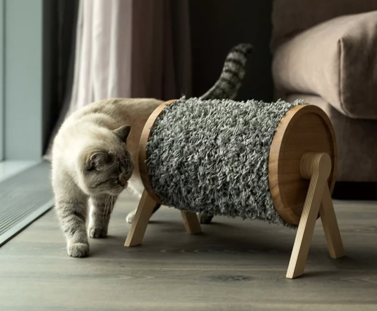 Как отучить кошку драть обои, мебель и стены | Приключения натуралиста |  Дзен