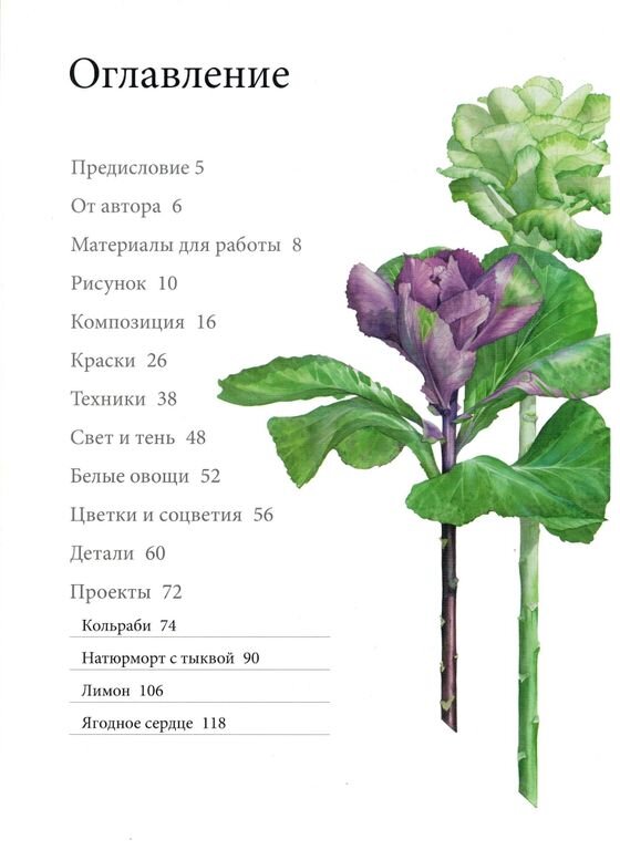 Портреты фруктов и овощей. Практическое руководство по рисованию акварелью. Билли Шоуэлл