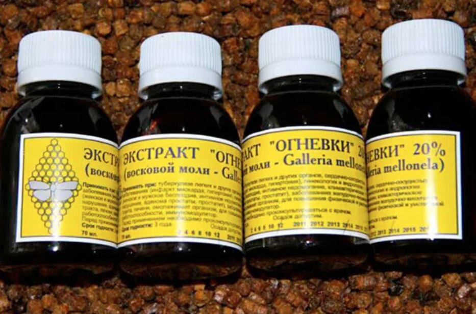 Пжвм в аптеке. Экстракт огневка пчелиная восковая моль. Экстракт огневки восковой моли. Экстракт огневки пчелиной. Огнёвка восковая моль.