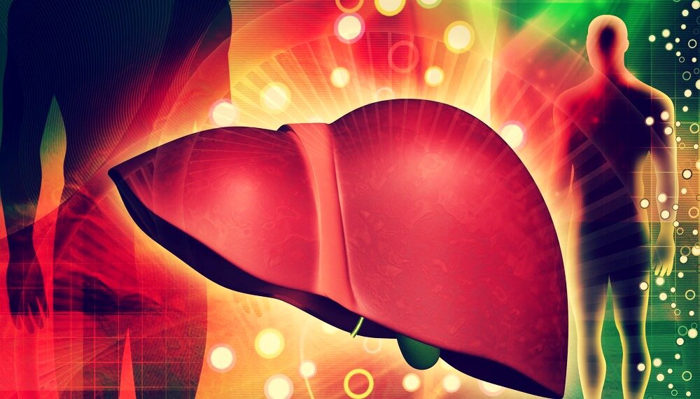 Важный орган для организма