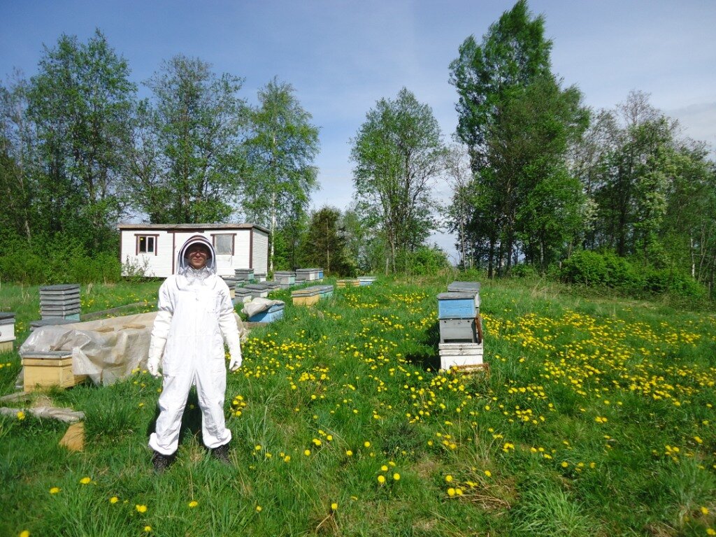 Весенние работы на пасеке