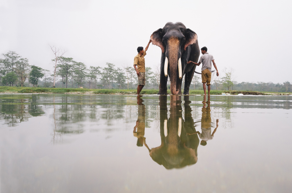 Слова © Kim Frank / Изображение © Jody MacDonald 