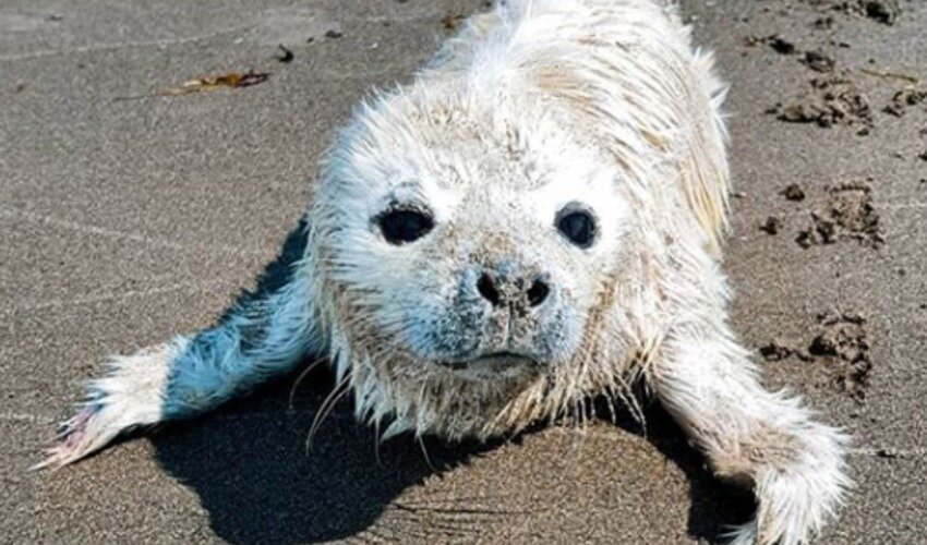 Фото: Instagram @lelya_kurenkova