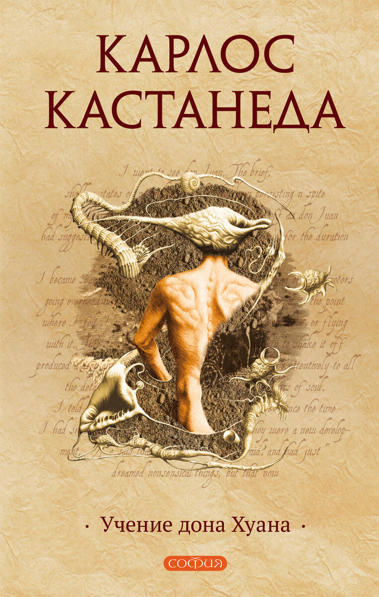 Источник: Яндекс картинки