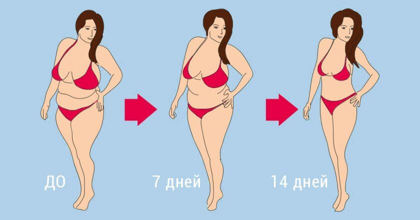 Давай для начала поймем, ка же тебе худеть. Во-первых, любой подобный путь начинается с дефицита калорий (да, я знаю, мы его все не любим, но поверь- если ты создашь правильный и легкий дефицит, ты не будешь срываться и тебе будет легко худеть).