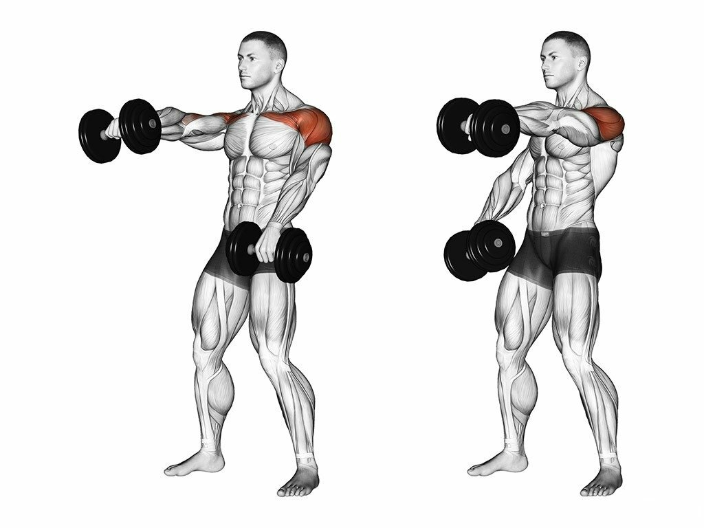 Передняя Дельта с гантелей. Подъем гантелей на передние дельты. Подъем гантелей вперед перед собой. Подъем гантелей вперед фронтальная часть дельты. Почему плечи вверх