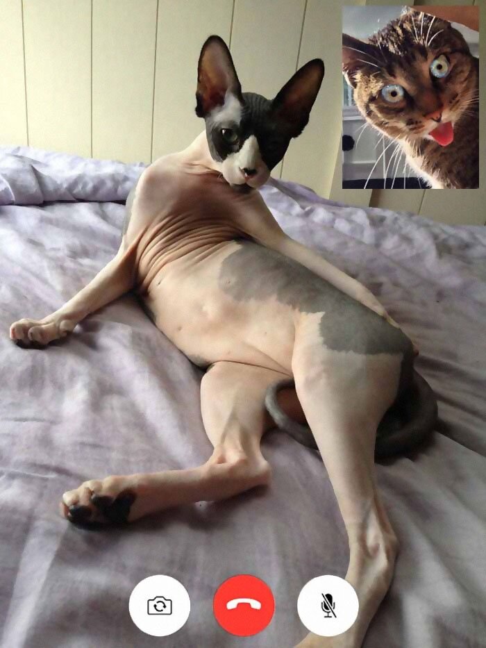 -2