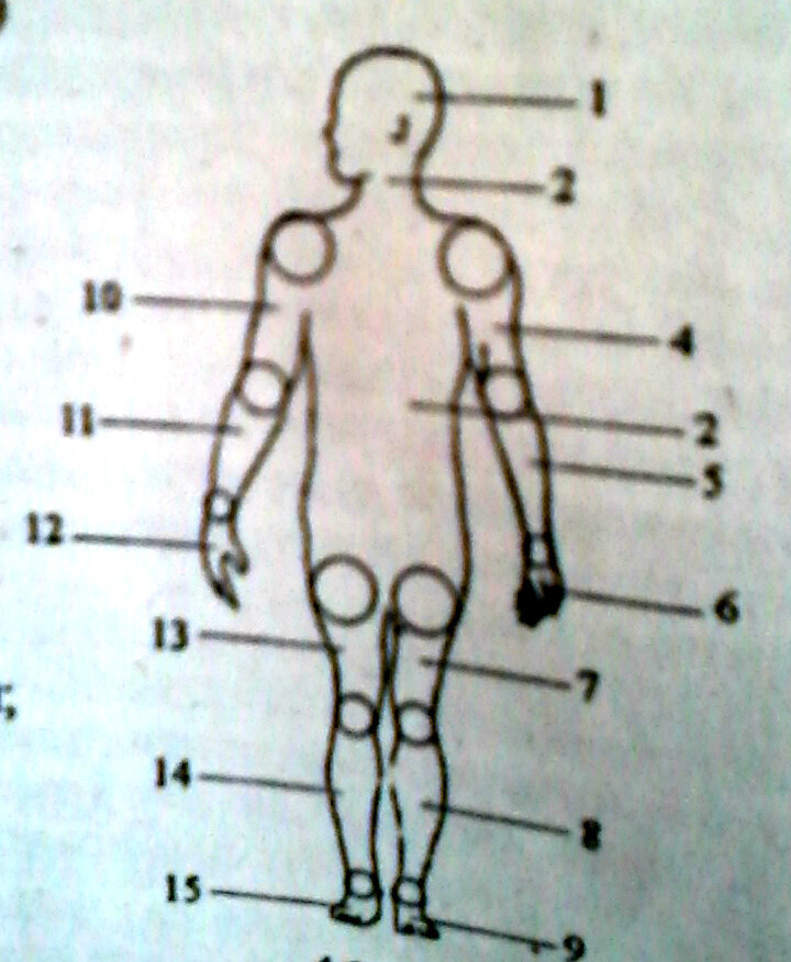 Рис. 15 областей суставов