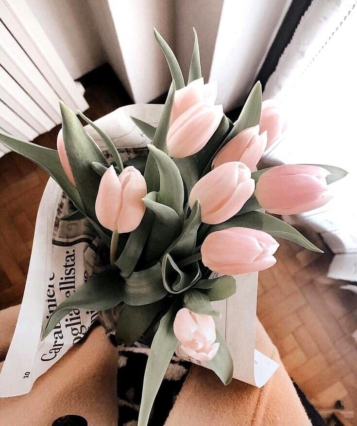 источник: m.ok.ru