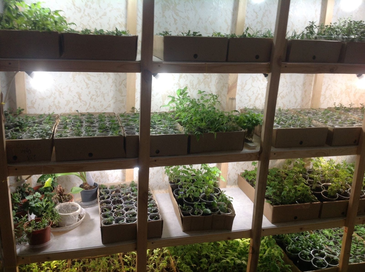 фото из личного архива