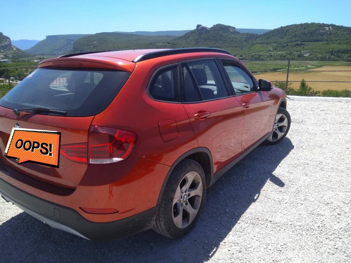 Рыжик в Крыму