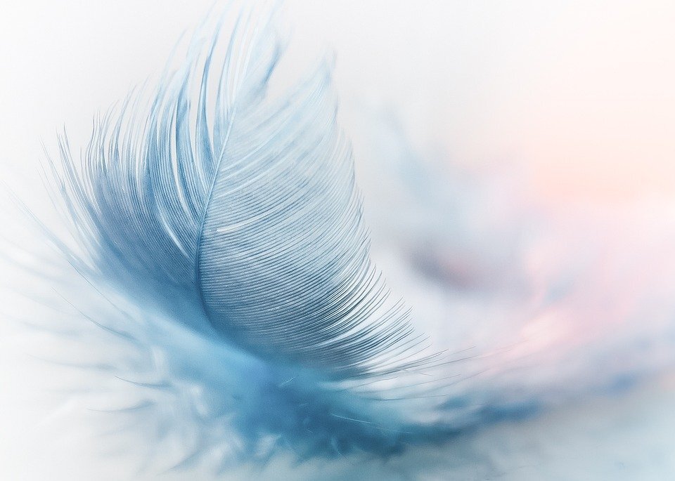 Фото взято с сайта https://pixabay.com/ru/   