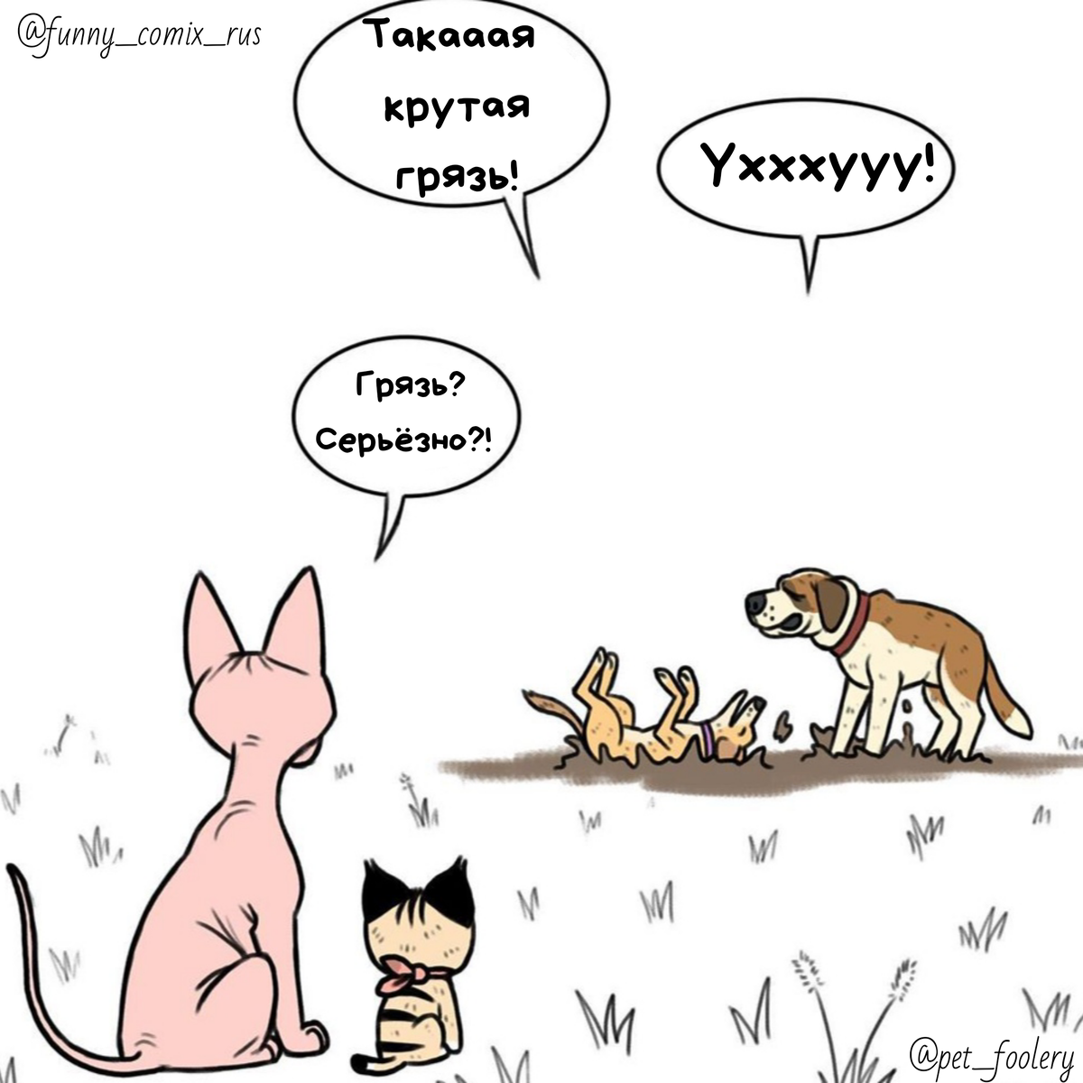 Источник: Instagram @funny_comix_rus 