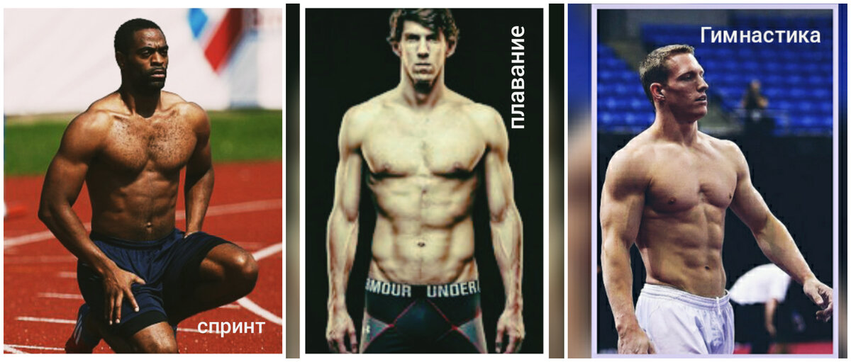 Плавание, гимнастика, бег. Сравниваем фигуры спортсменов.