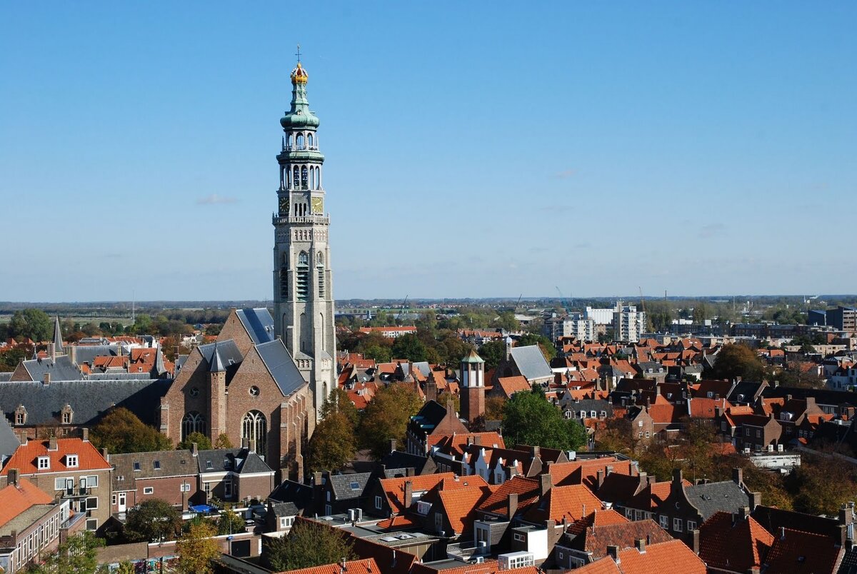 Фото из яндекс. картинки 