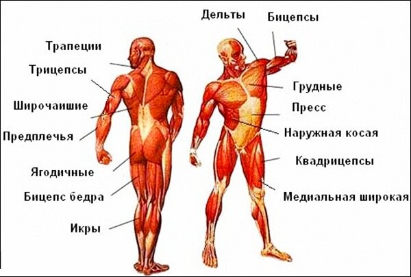 Фото До и После увеличения груди