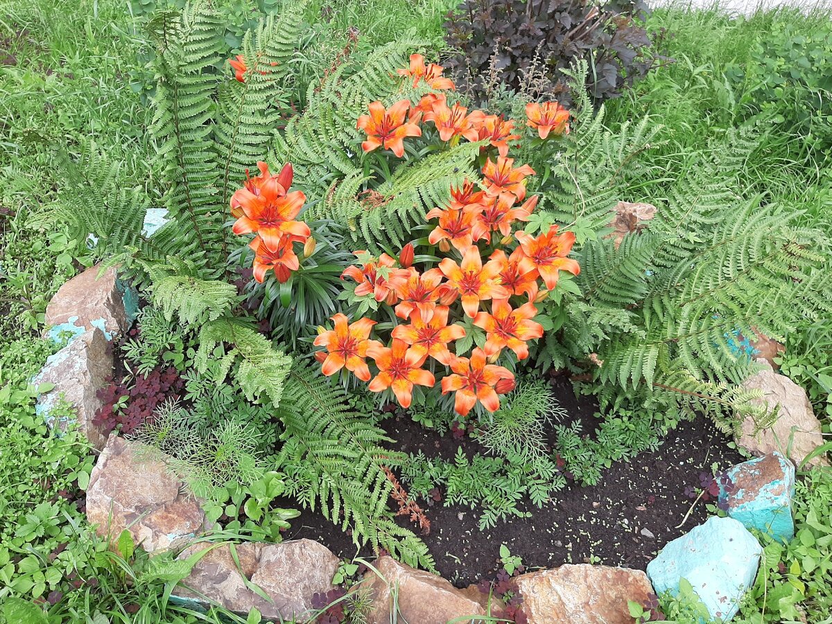 Говорят дети -цветы жизни