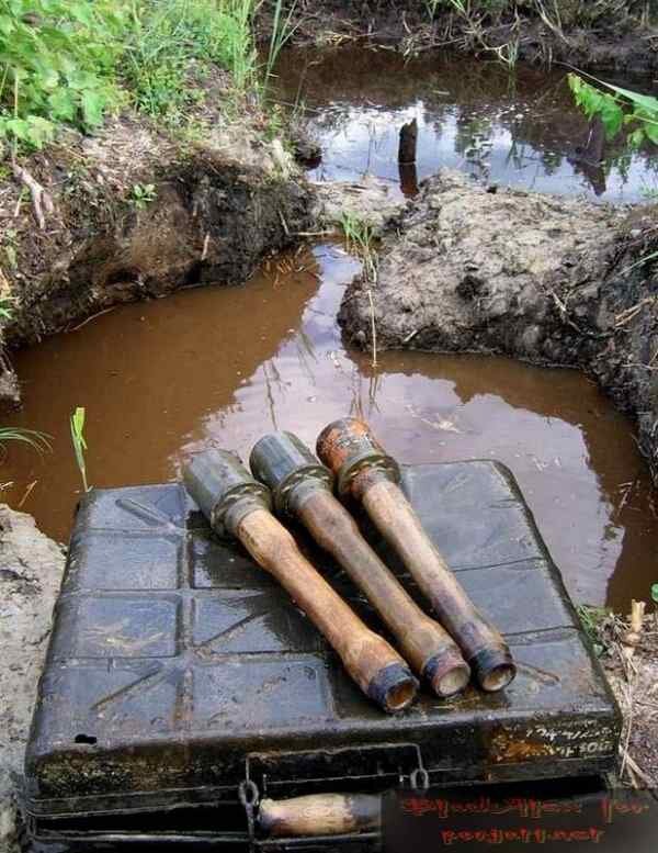 Фото взято из открытых источников