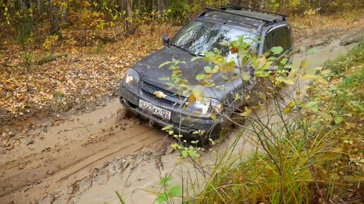 Off Road в лесу толпой УАЗ Нива Соболь Паджеро