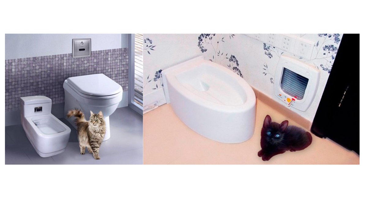 Кошачий туалет из картонной коробки своими руками | diy-idea | Дзен