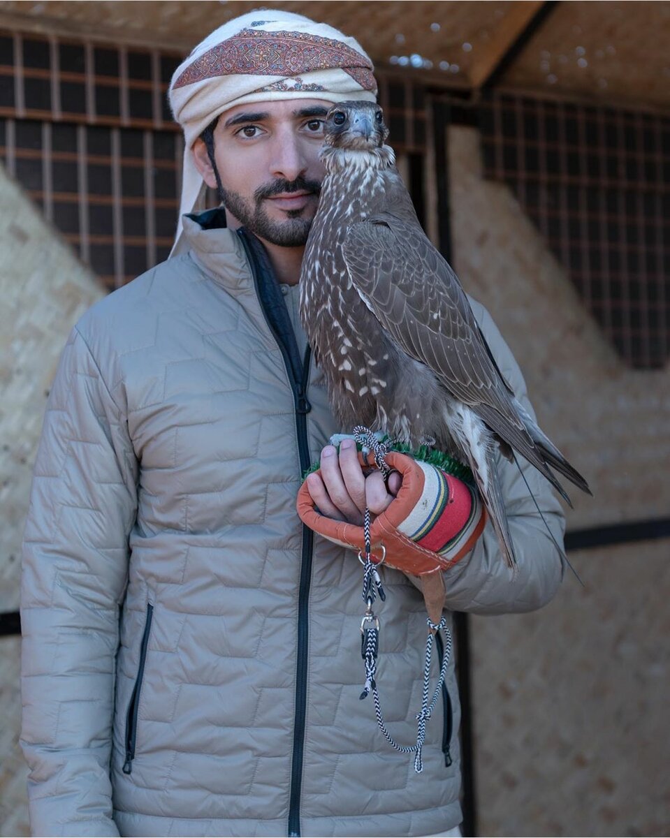 Наследный принц шейх Хамдан ибн Мохаммед Аль Мактум