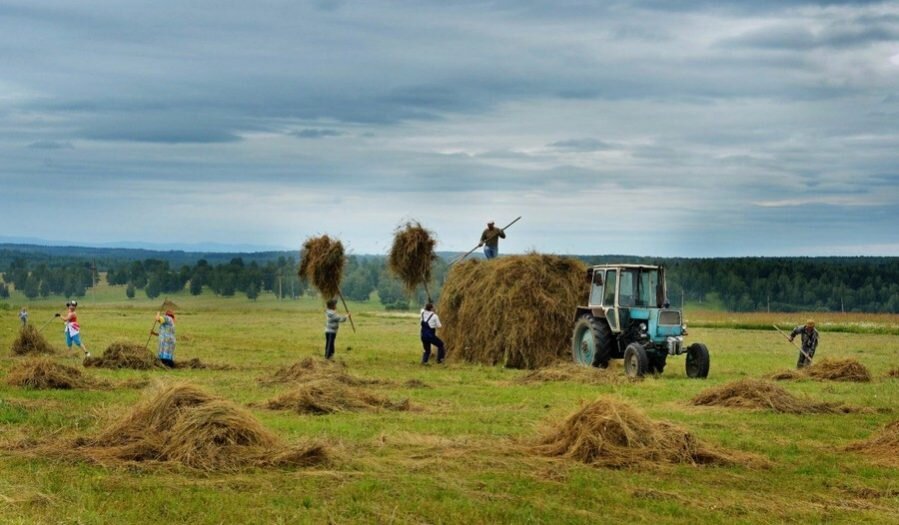 У кого-то так сено заготавливают