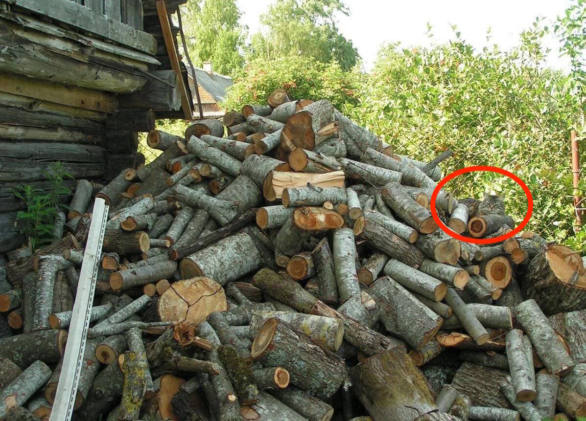 Надеюсь у вас получилось!