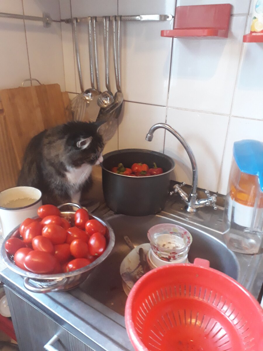 мама, я помою