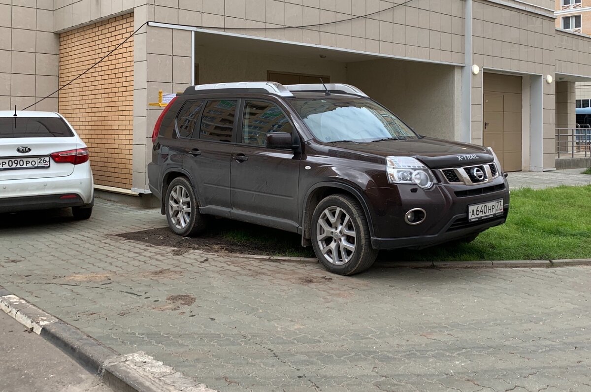  Хам газонный