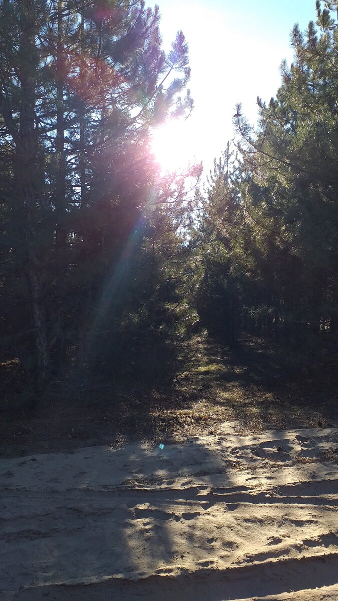 Фото мое от 09.12.20г.