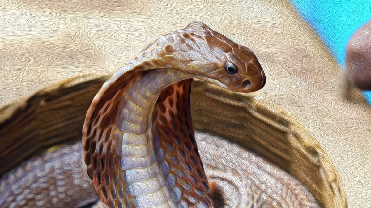 Изображение Rajesh Balouria с сайта Pixabay