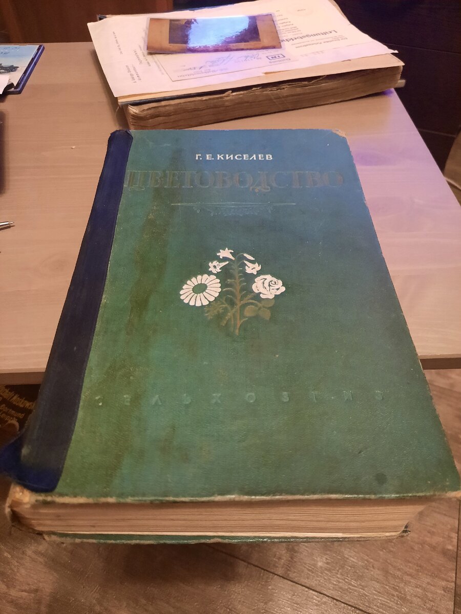 Фото автора. Листайте галерею