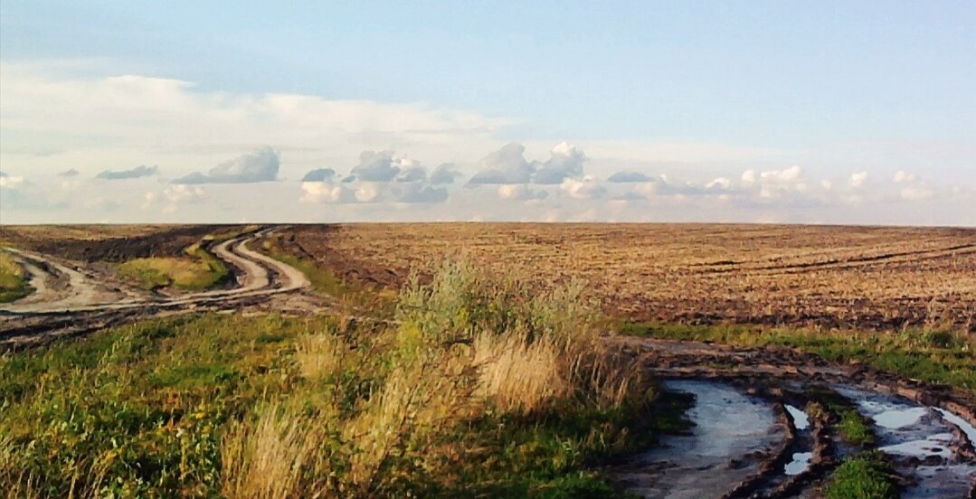 Почти как здесь, только меньше зелени