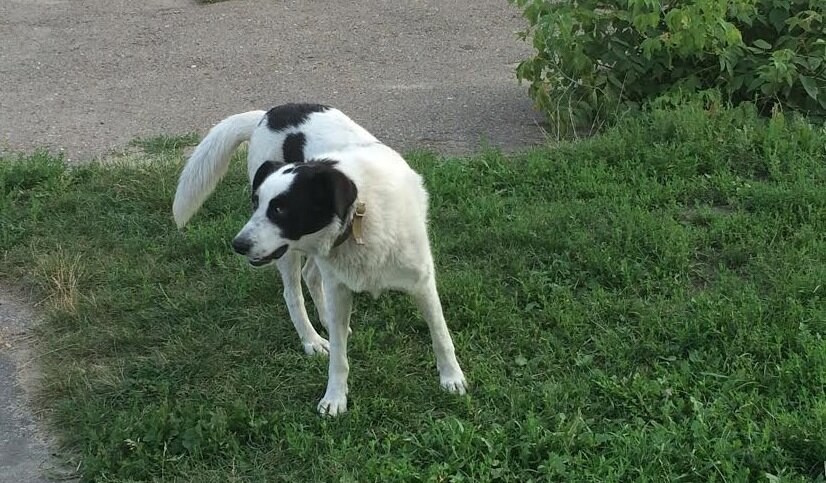 Фото для иллюстрации с сайта penza-online.ru