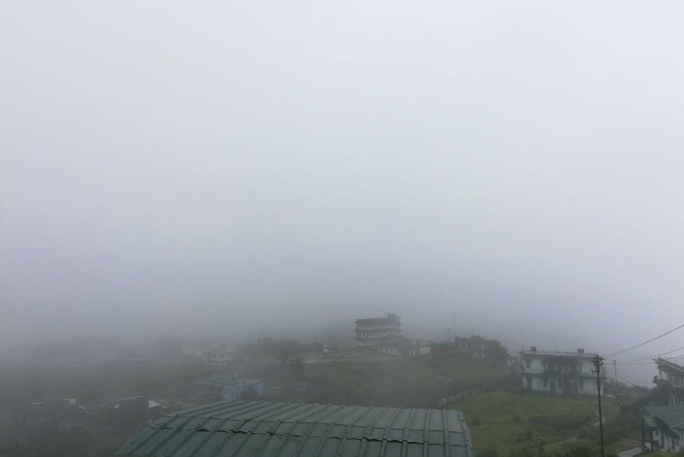 Фото из Yandex