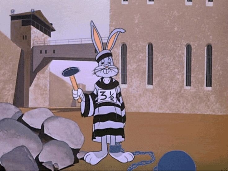 Фото взято из открытых источников.