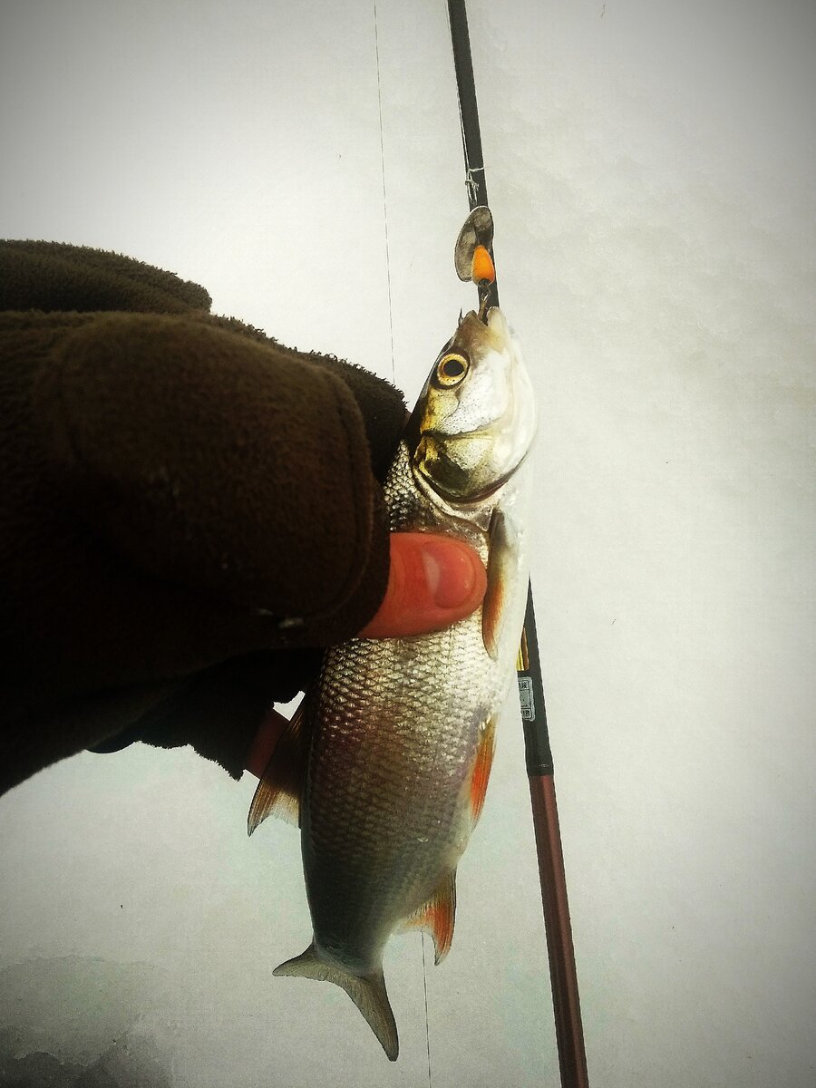 Вертушки не "убивают" плетёнку!