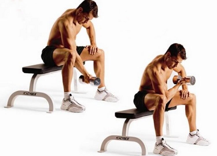 Seated Incline Dumbbell Curl