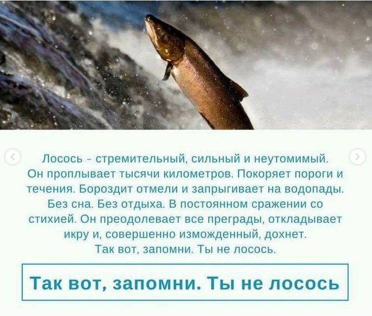 Любимый мем из интернетов