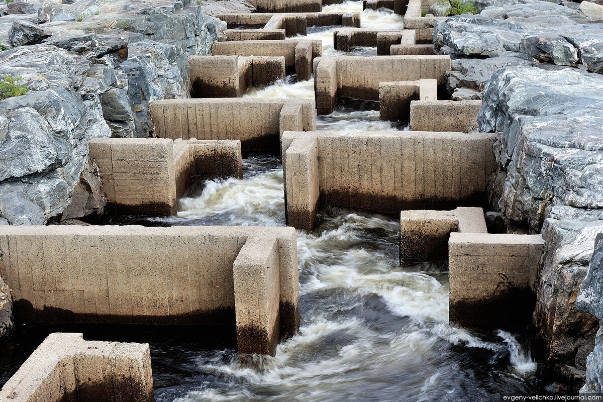 Различия в потребностях и уходе