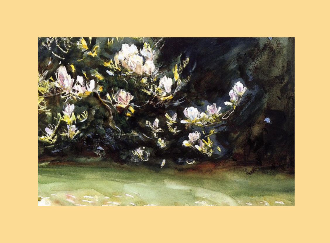 Фотография (на фоне) картины Д. С. Сарджента "Магнолии" (из открытых источников)