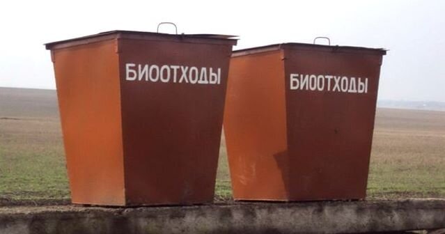 фото с сайта https://ecologia.life/