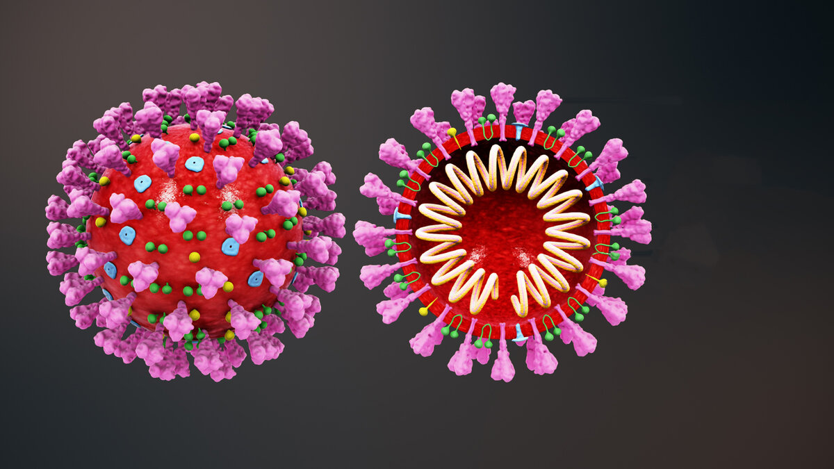 фото из Интернета