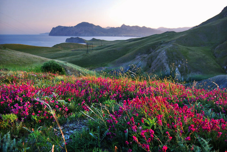 Изображение взято из открытых источников Интернет.